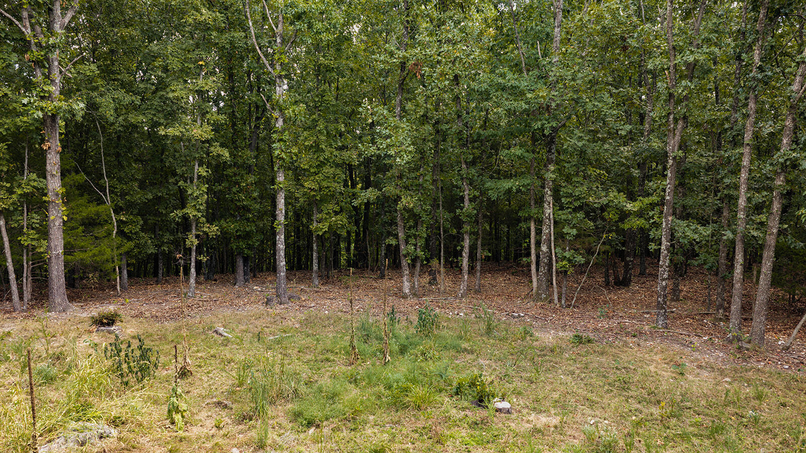 Tract Z&t Red Rock Road Property Photo 10