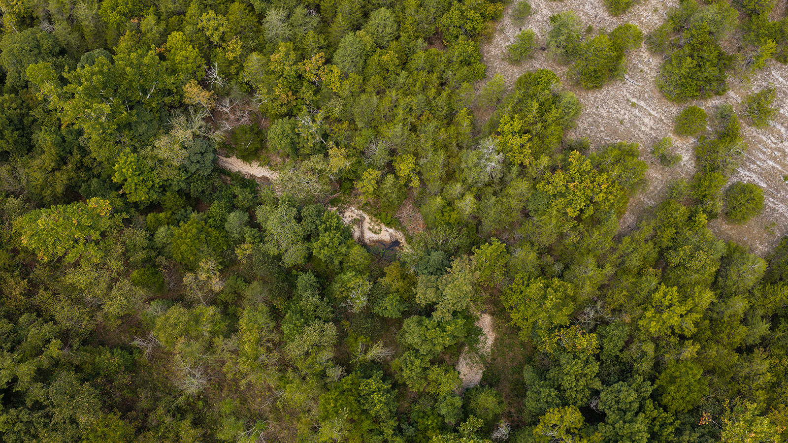 Tract Z&t Red Rock Road Property Photo 22