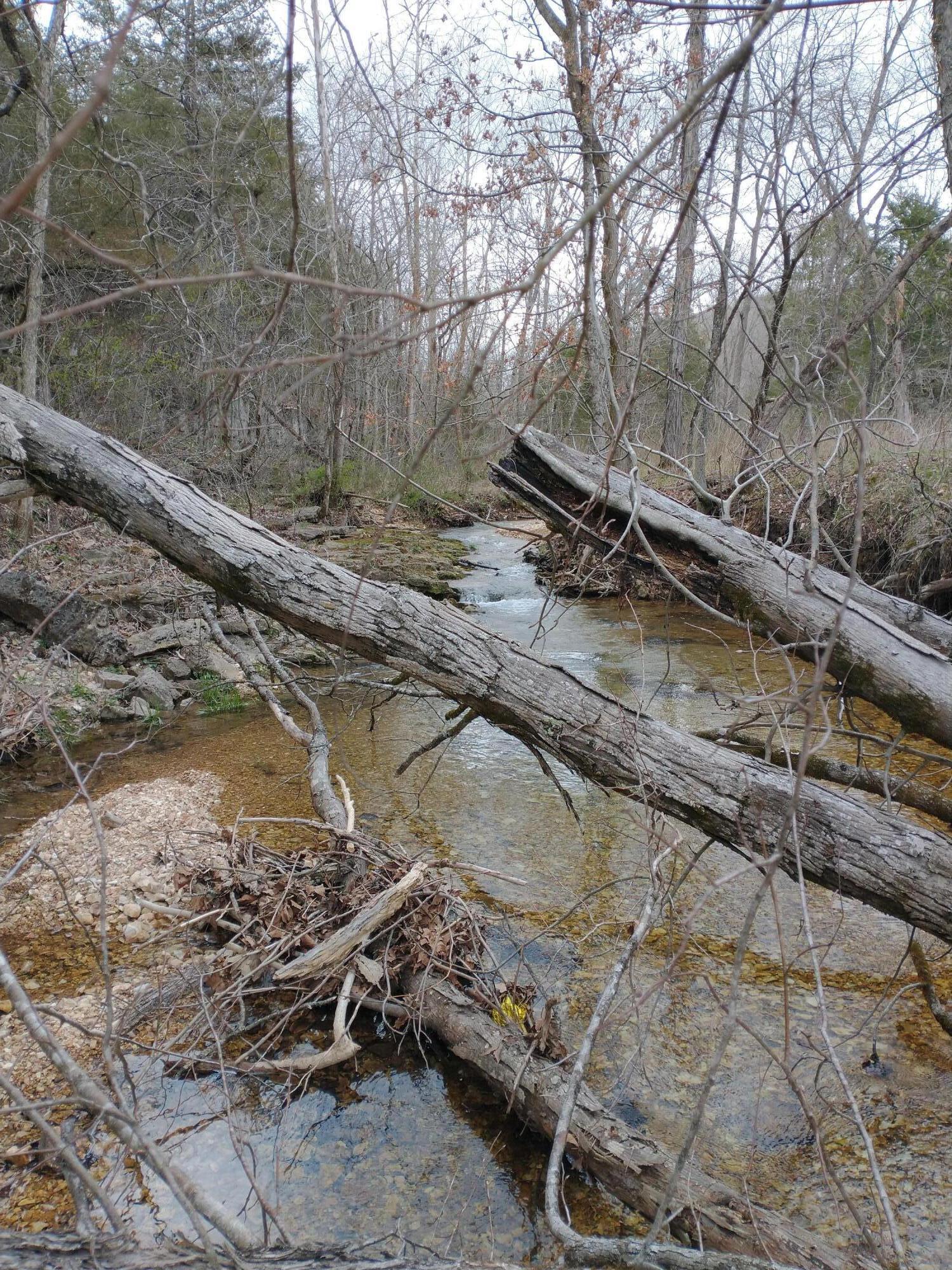 Tract Z&t Red Rock Road Property Photo 31