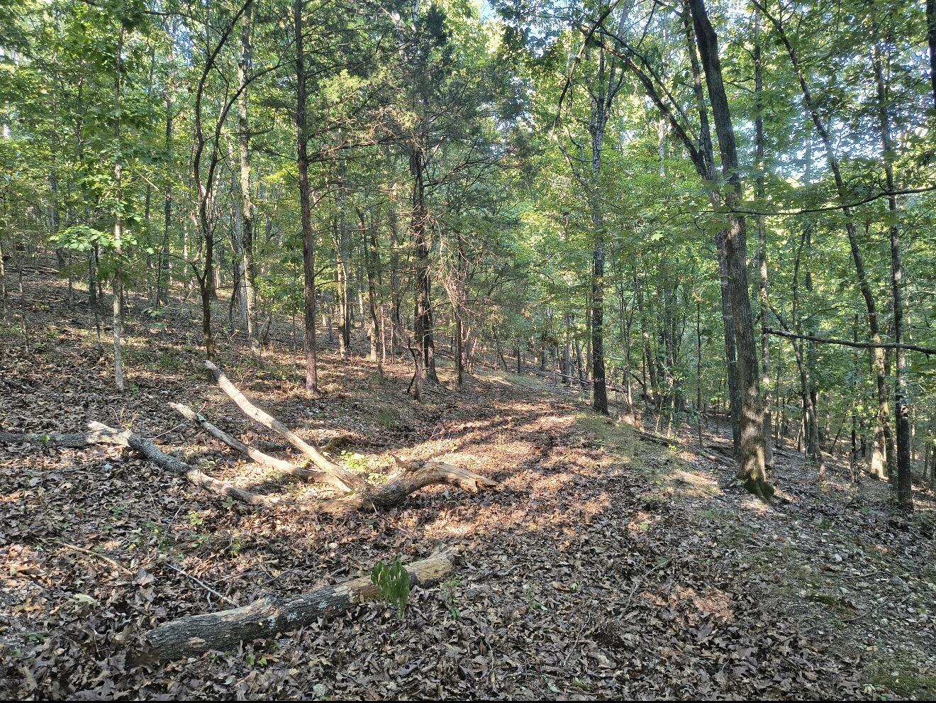 Tract Z&t Red Rock Road Property Photo 41