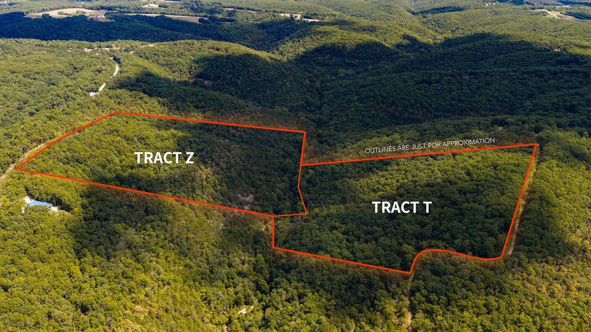 Tract Z Red Rock Road Property Photo 2
