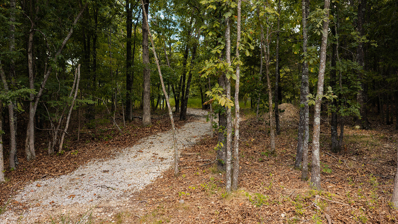 Tract Z Red Rock Road Property Photo 6