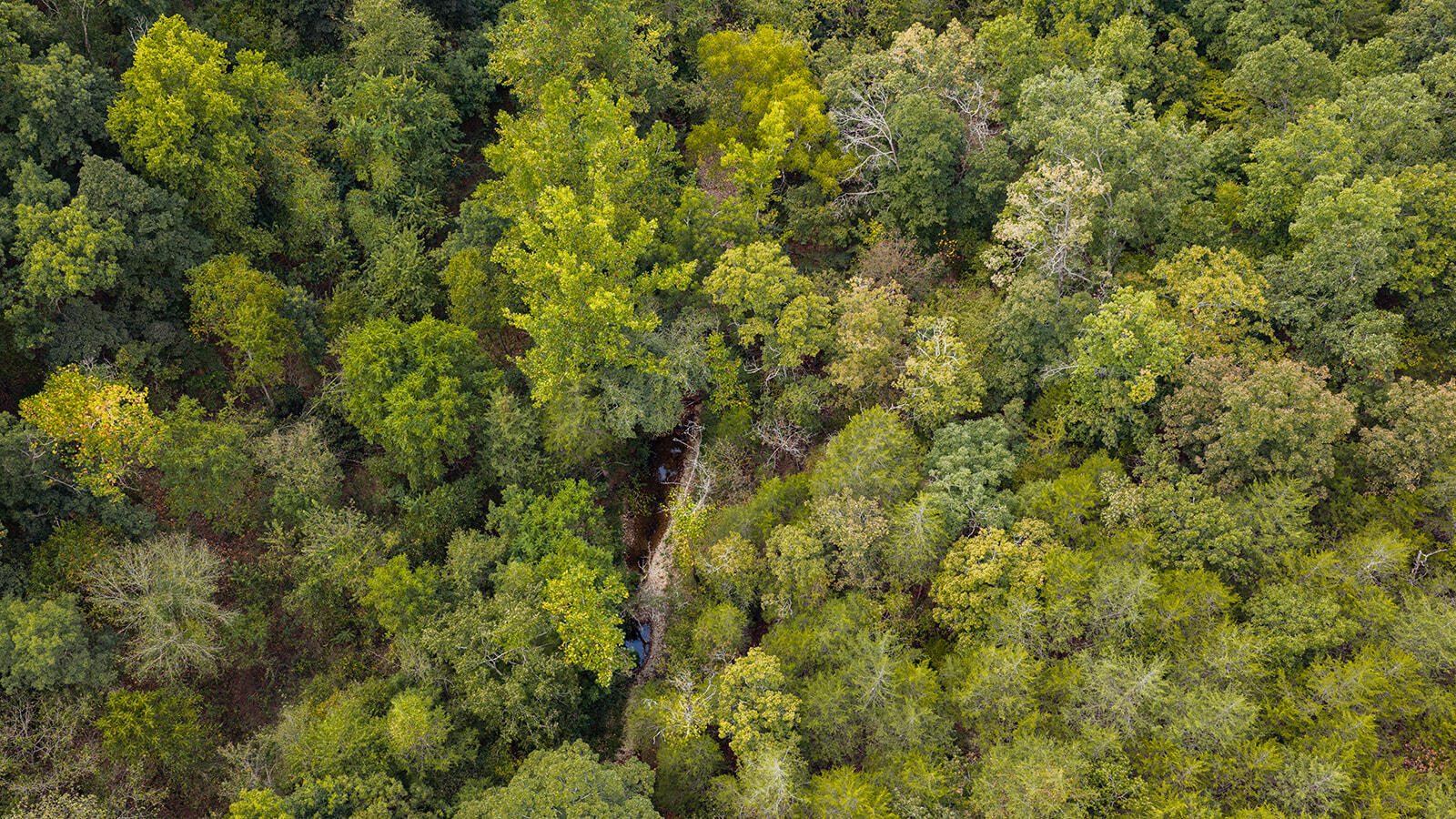 Tract Z Red Rock Road Property Photo 13