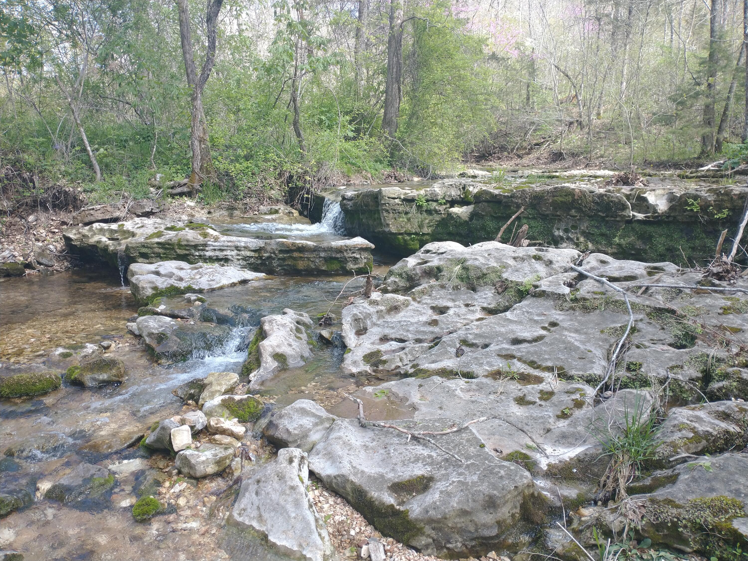 Tract Z Red Rock Road Property Photo 20