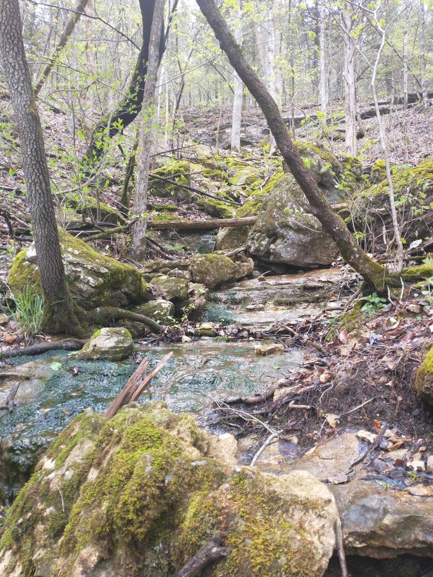 Tract Z Red Rock Road Property Photo 22