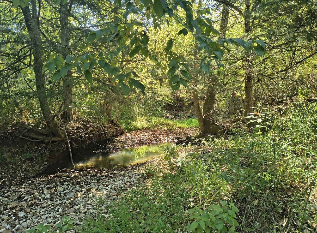 Tract Z Red Rock Road Property Photo 24