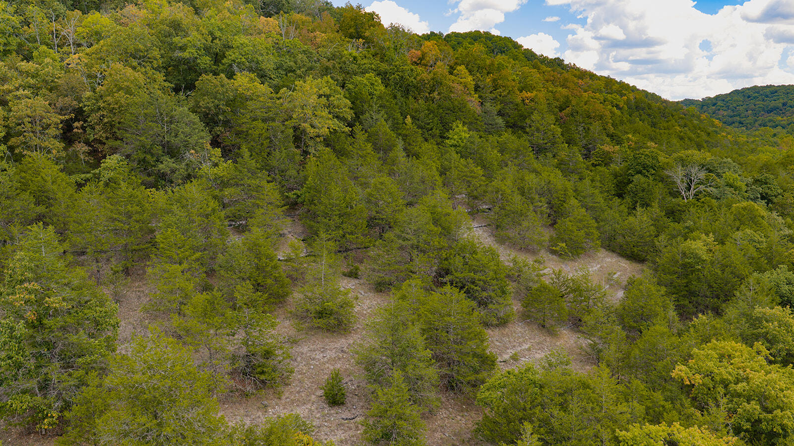 Tract Z Red Rock Road Property Photo 39