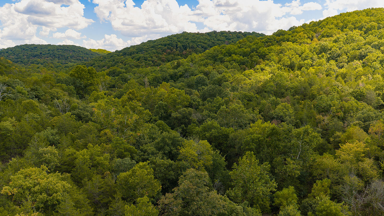 Tract Z Red Rock Road Property Photo 41