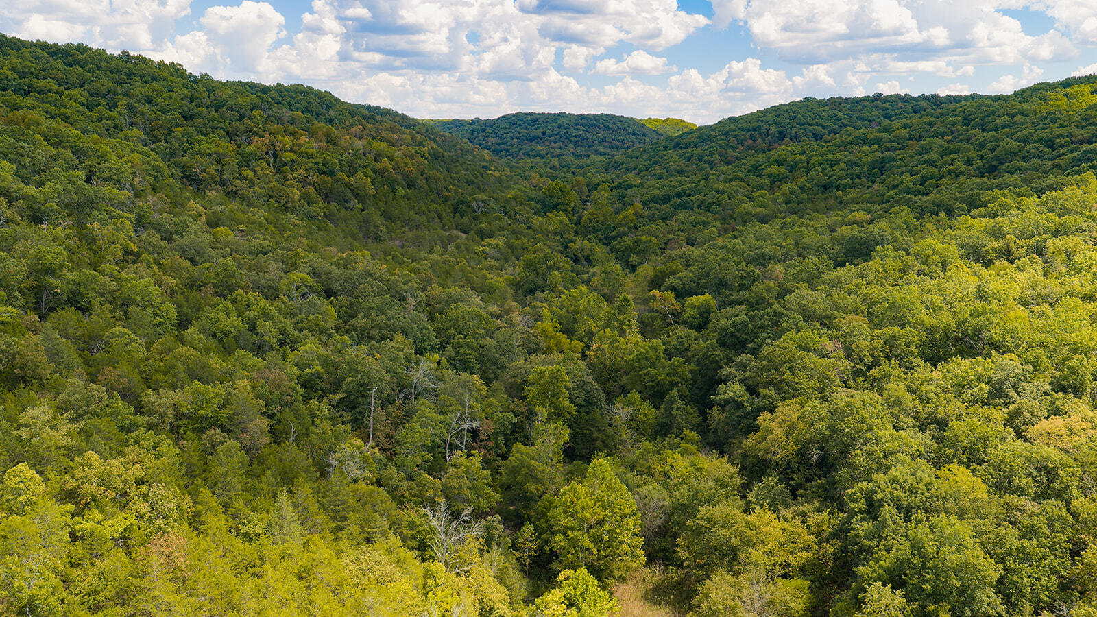 Tract T Ozark Road Property Photo 8