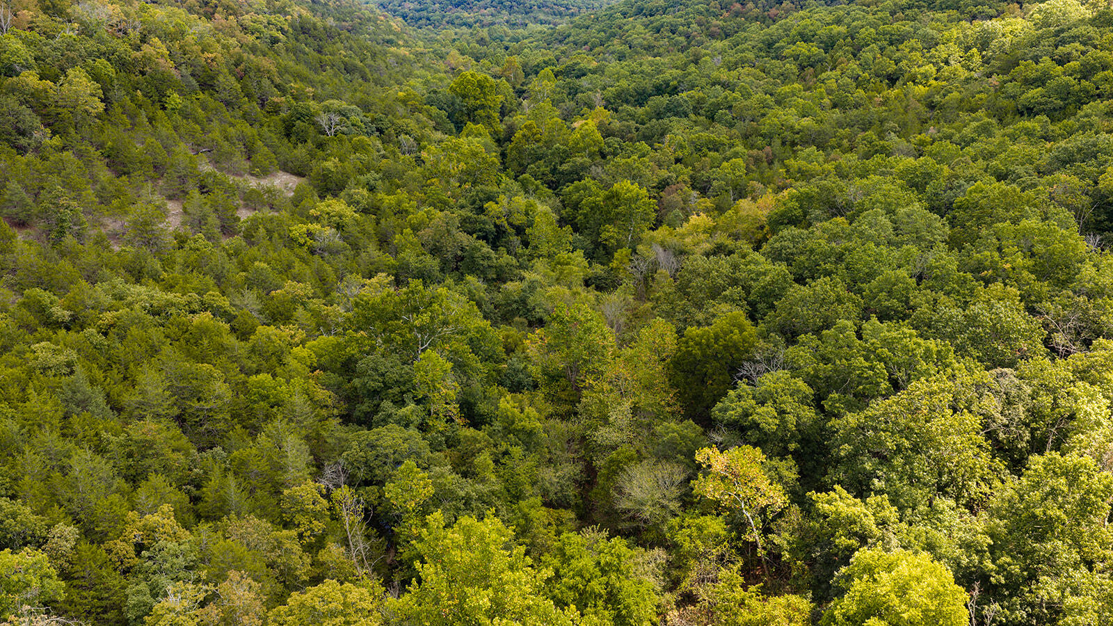 Tract T Ozark Road Property Photo 32