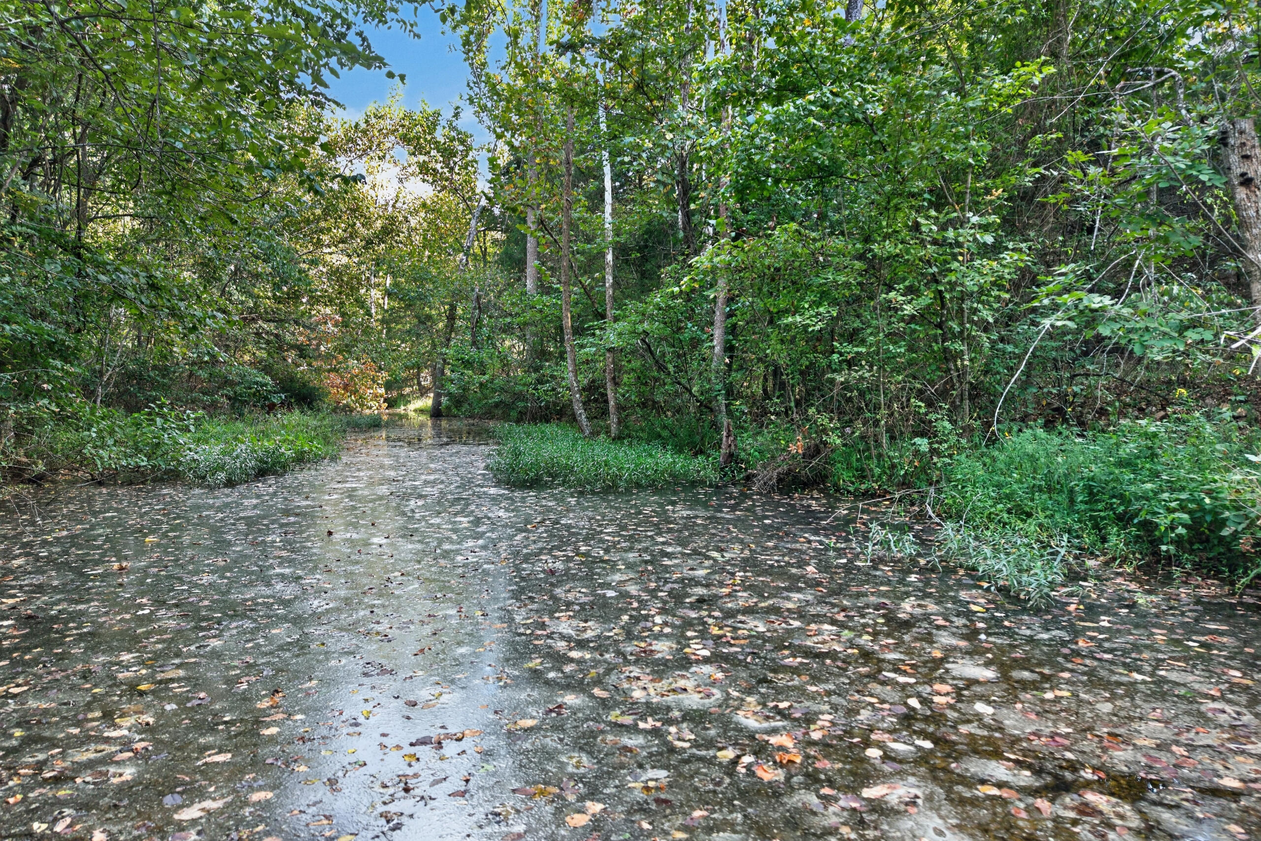 20890 Thomas Lane Property Photo 7