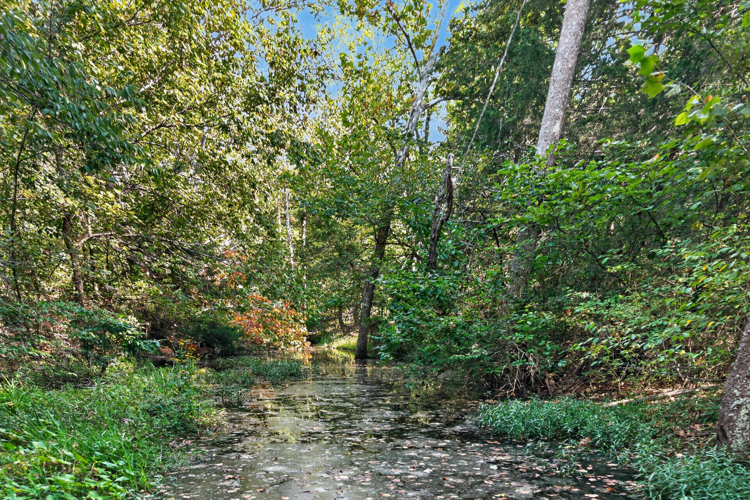 20890 Thomas Lane Property Photo 8