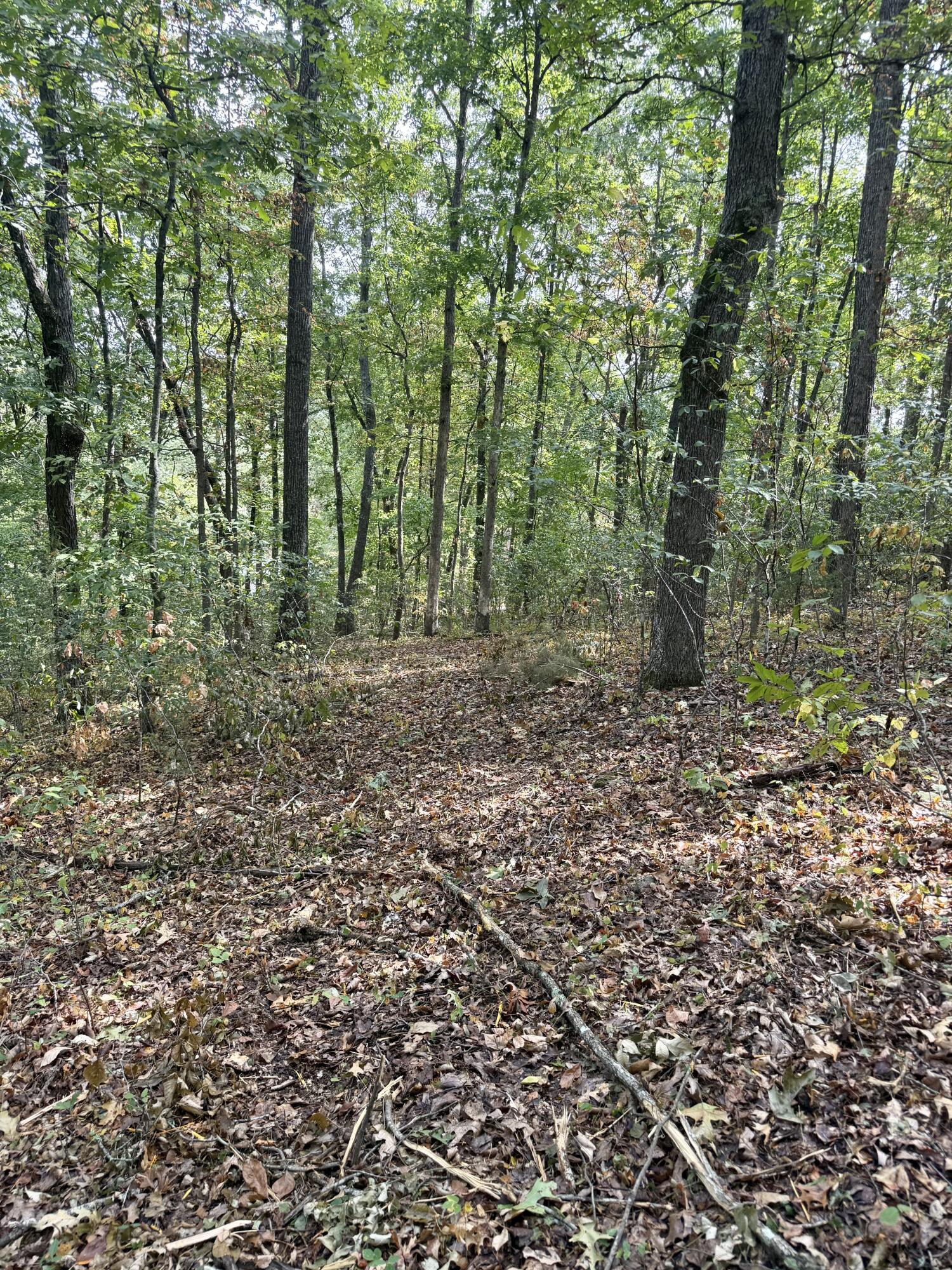 20890 Thomas Lane Property Photo 107