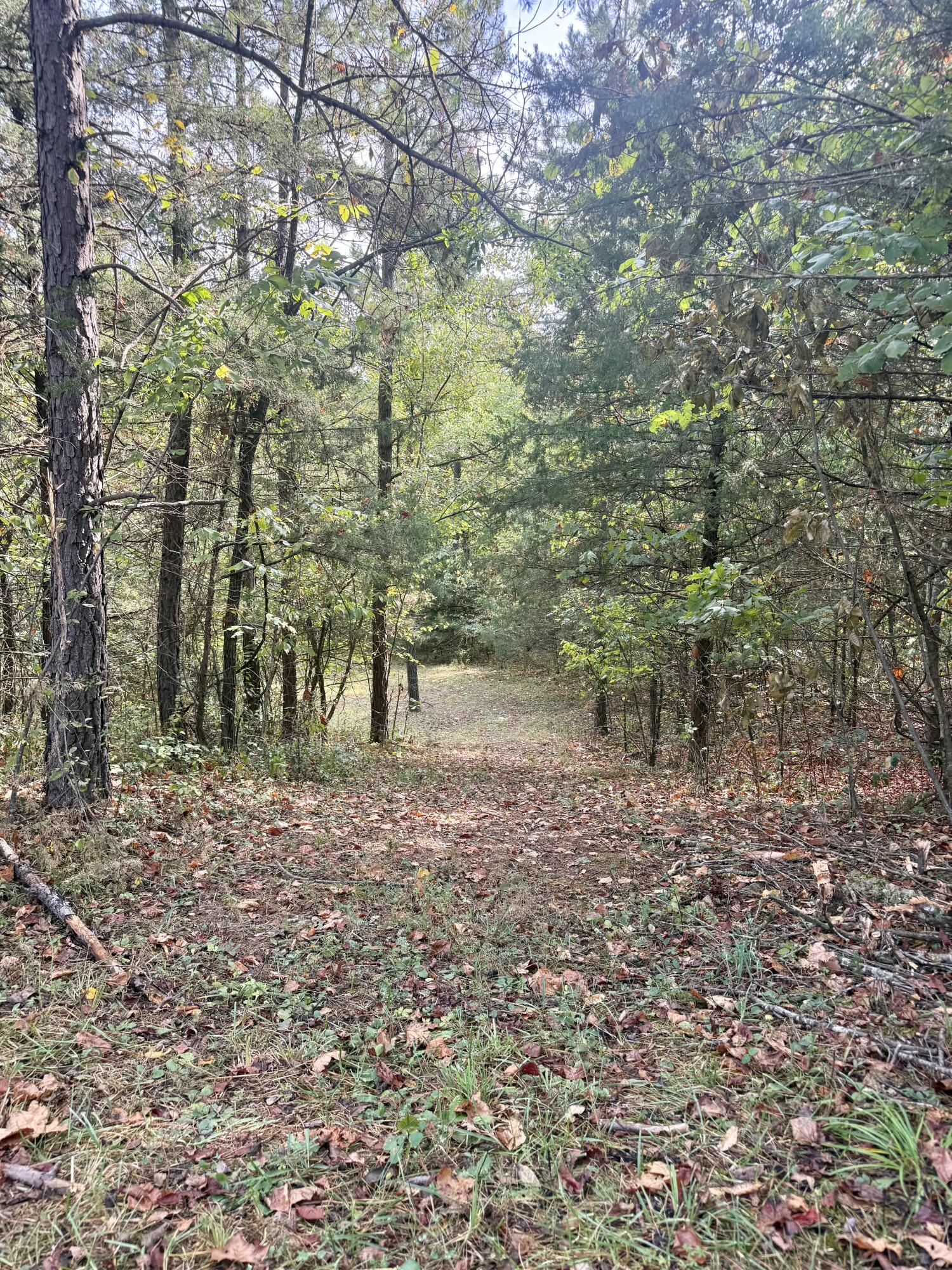 20890 Thomas Lane Property Photo 115