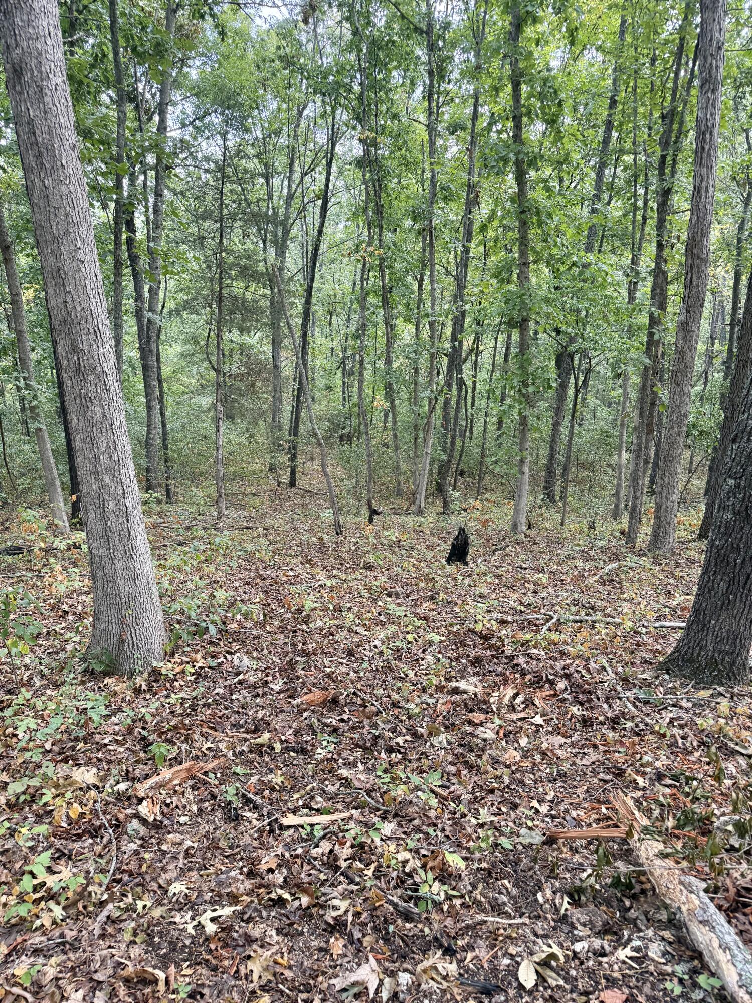 20890 Thomas Lane Property Photo 116