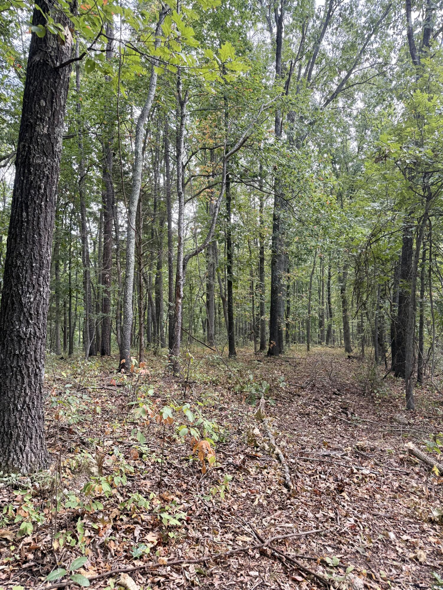 20890 Thomas Lane Property Photo 117
