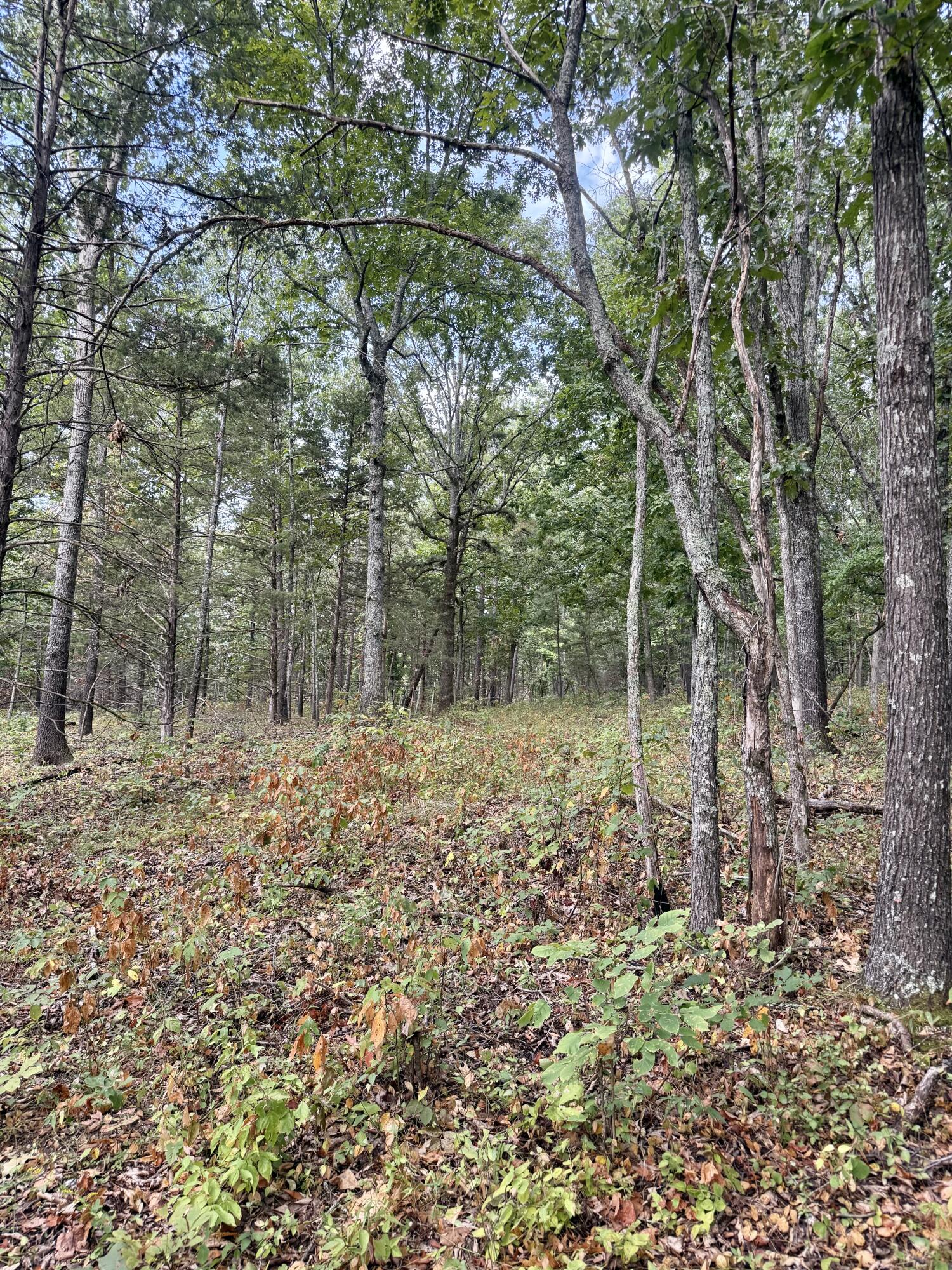 20890 Thomas Lane Property Photo 118
