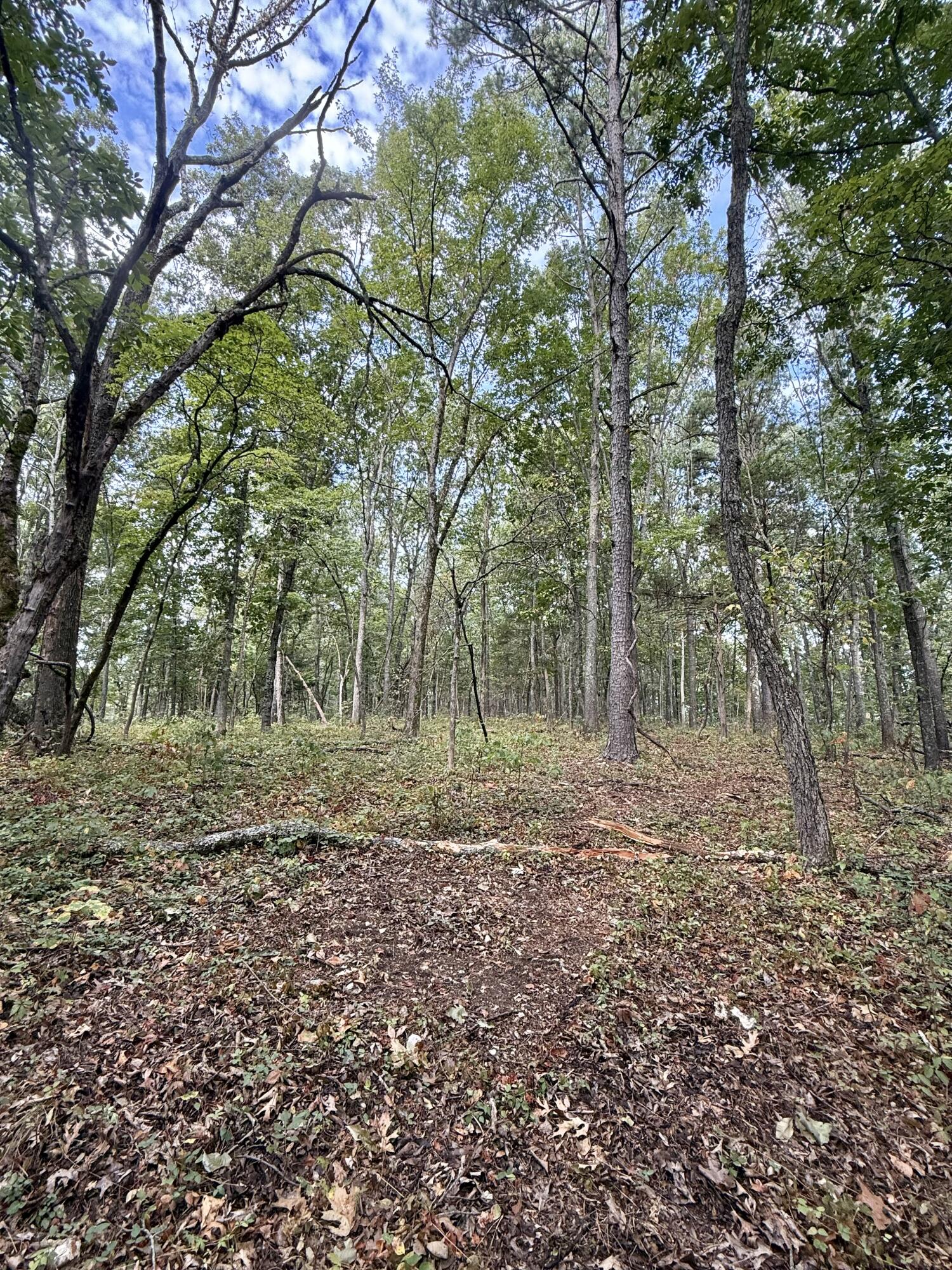 20890 Thomas Lane Property Photo 119