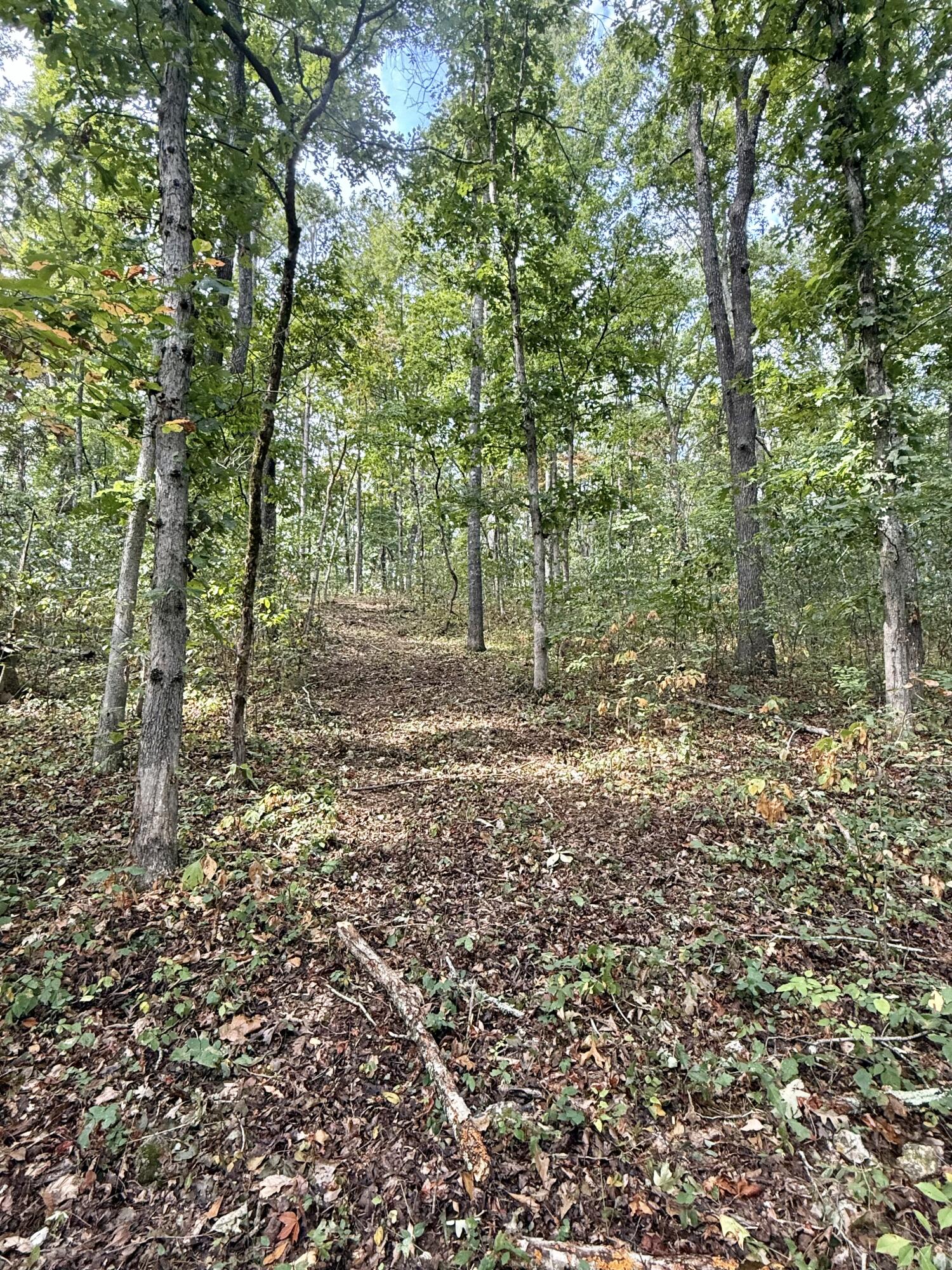 20890 Thomas Lane Property Photo 121
