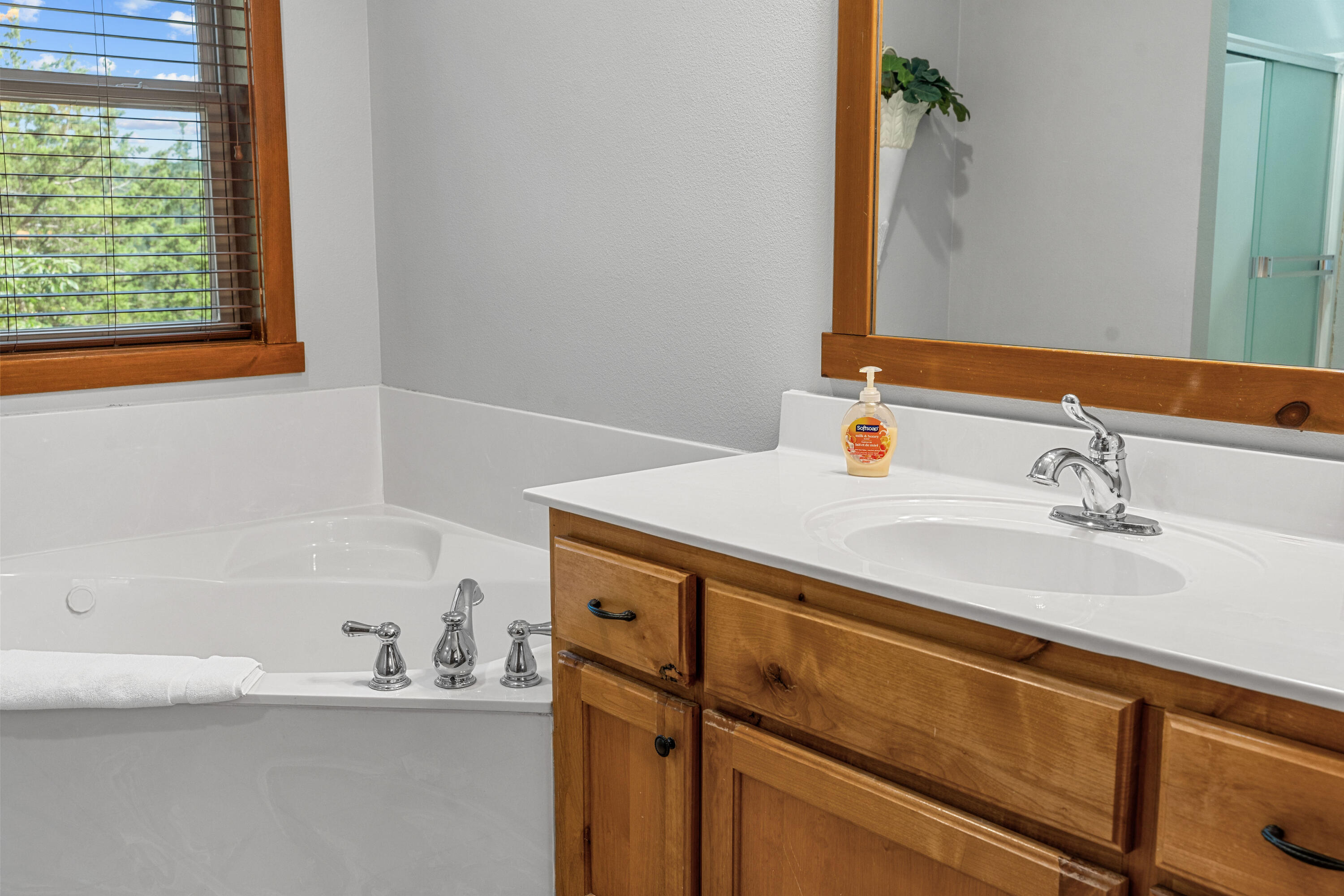 376 Willow Oak Lane Property Photo 43