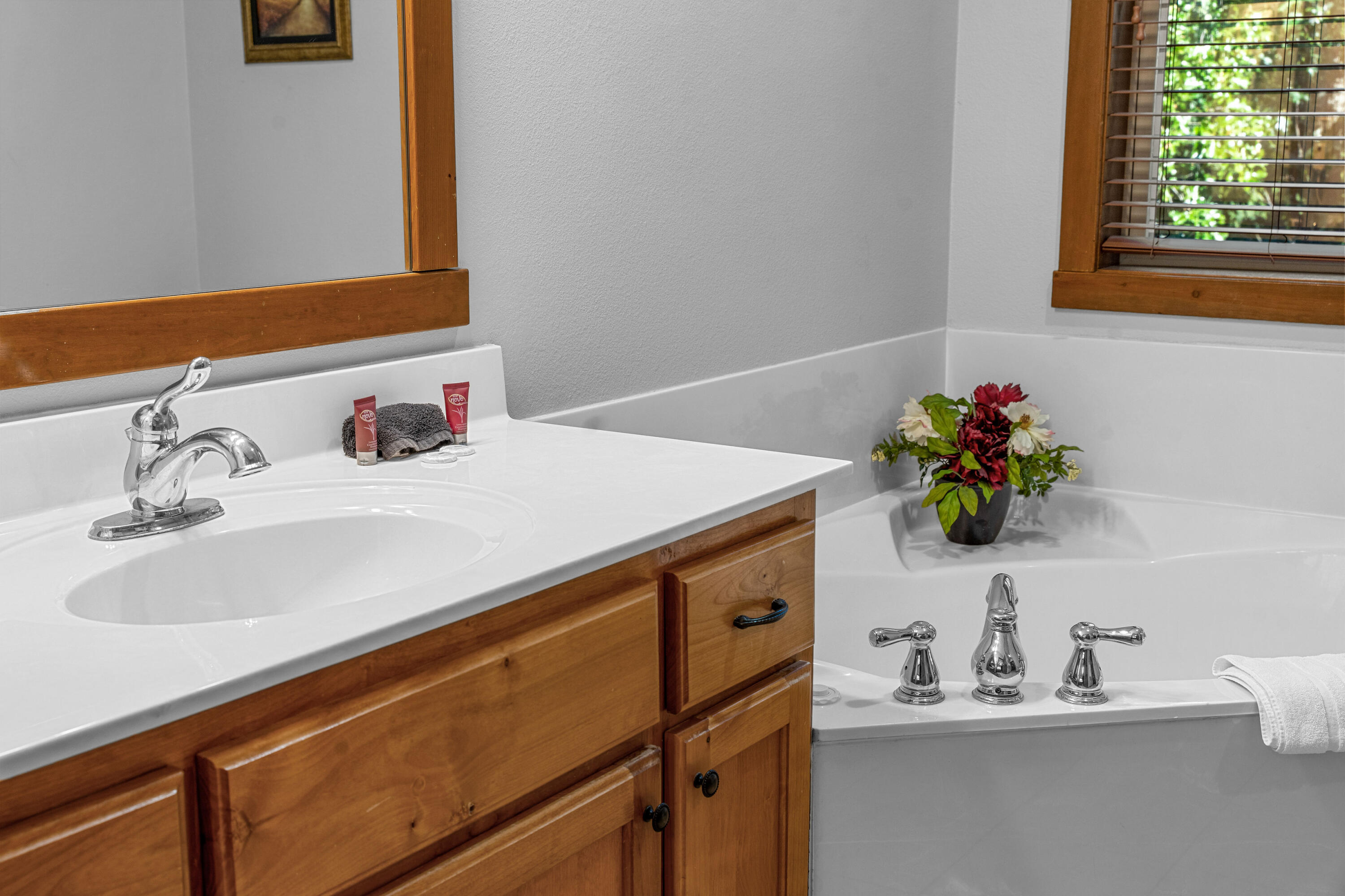 376 Willow Oak Lane Property Photo 45