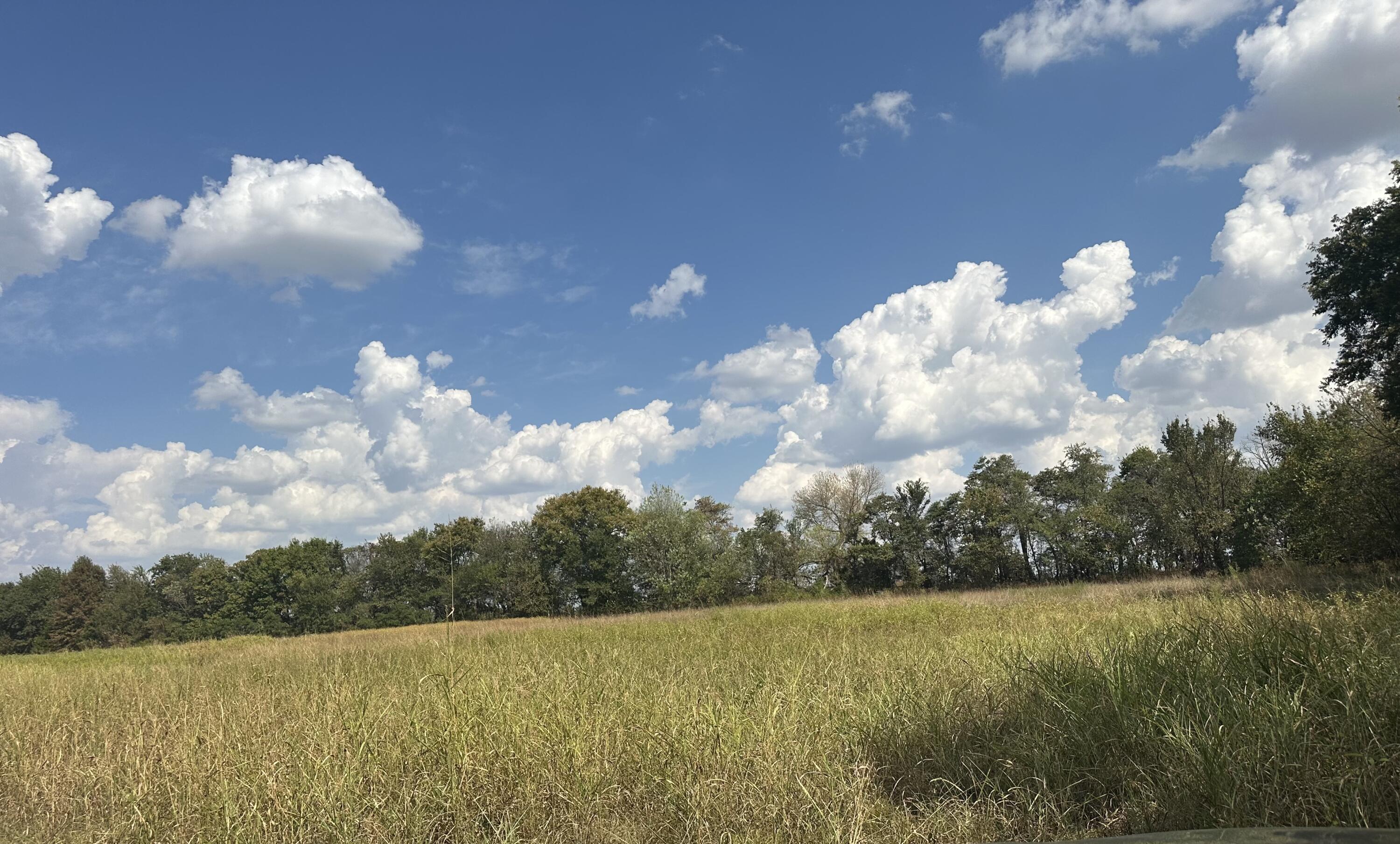 1429 Granby Miners Road Property Photo 2