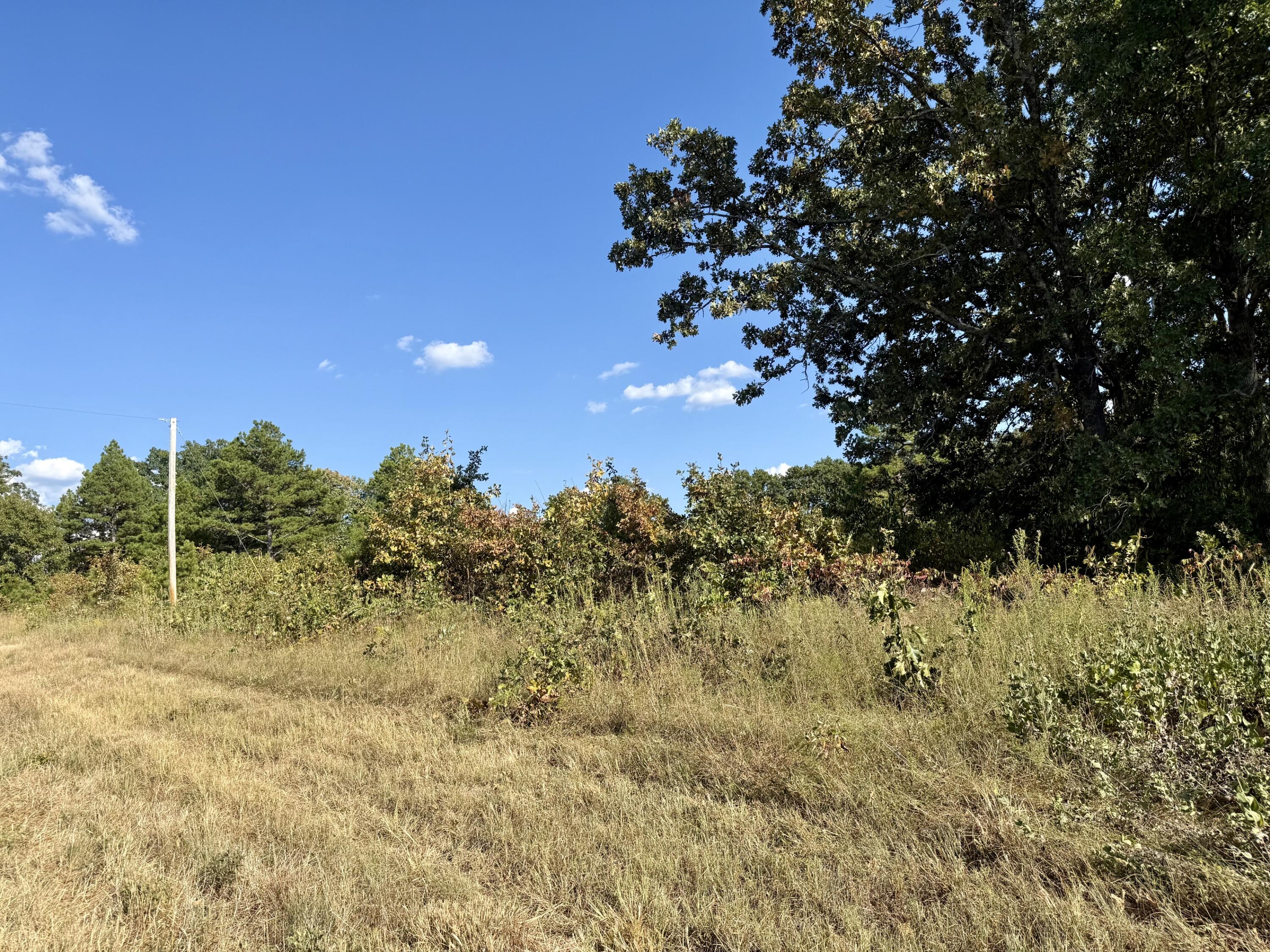 000 Highway 32 Property Photo 3