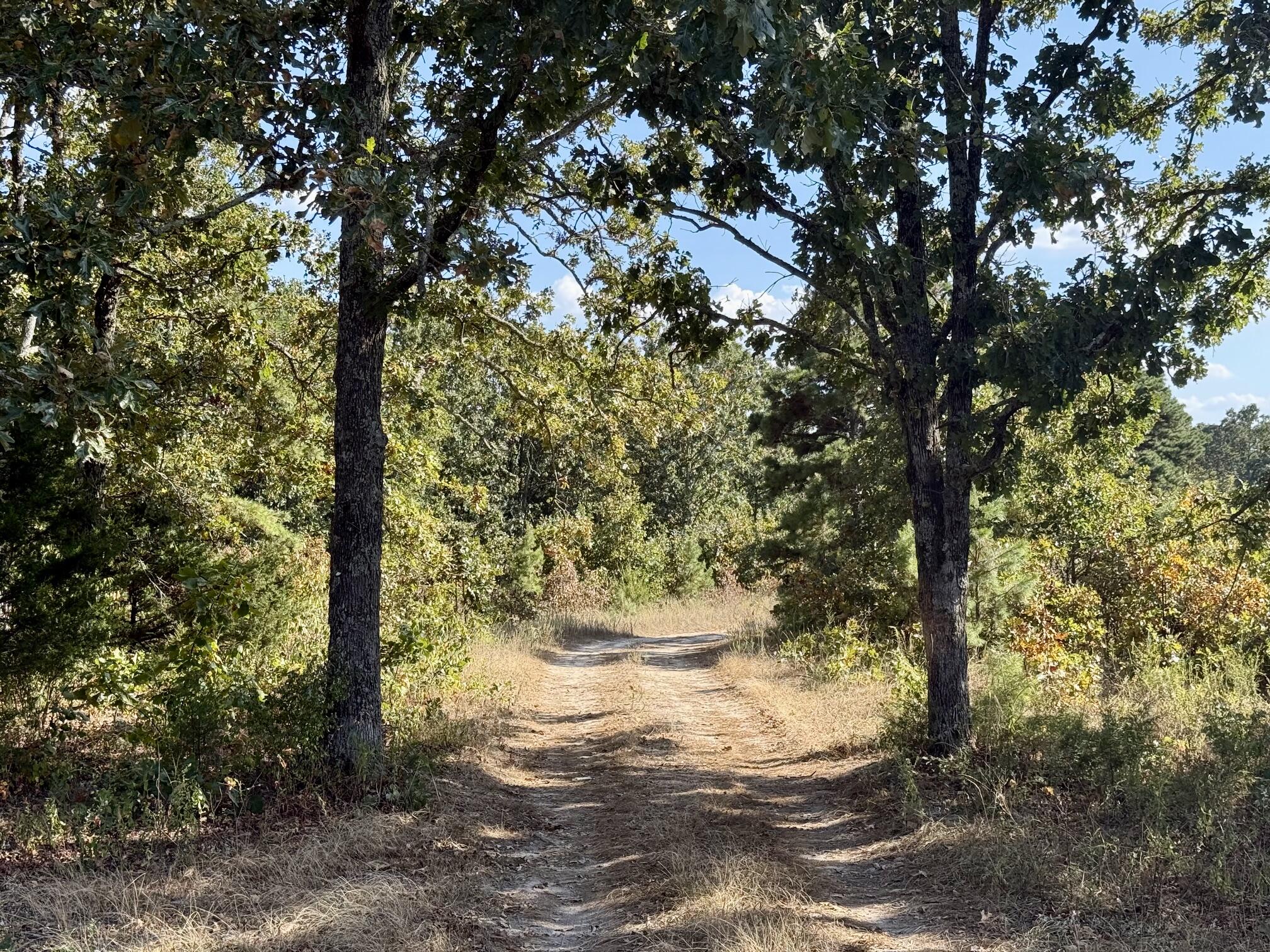 000 Highway 32 Property Photo 4