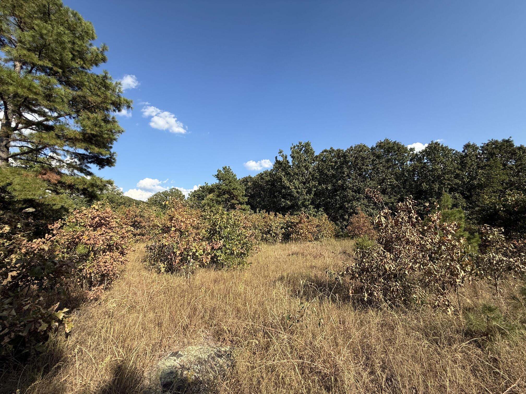 000 Highway 32 Property Photo 6