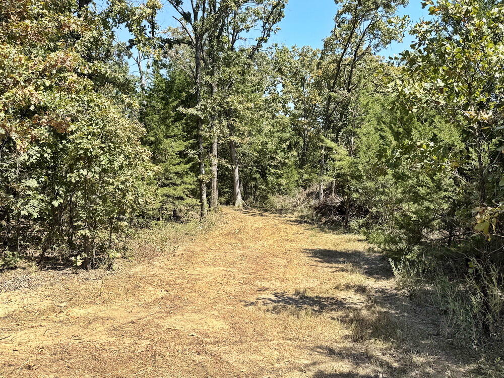 000 Southeast 500 Road Property Photo 6