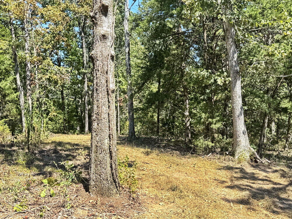 000 Southeast 500 Road Property Photo 7