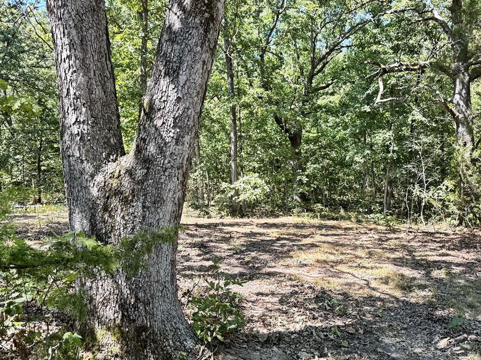 000 Southeast 500 Road Property Photo 8