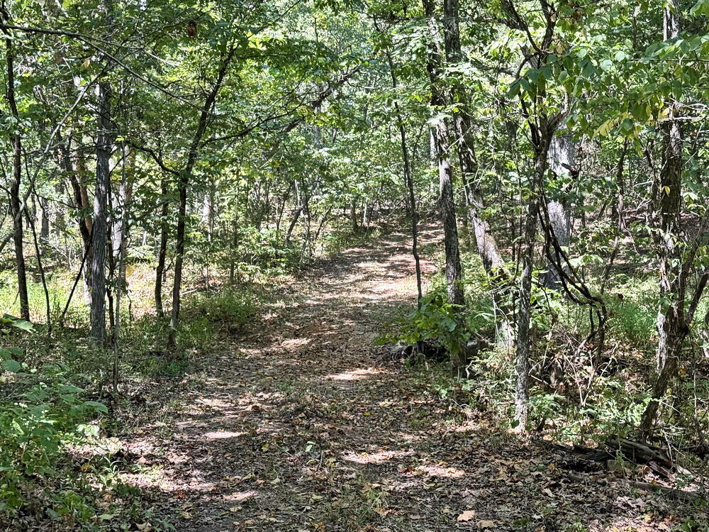 000 Southeast 500 Road Property Photo 11
