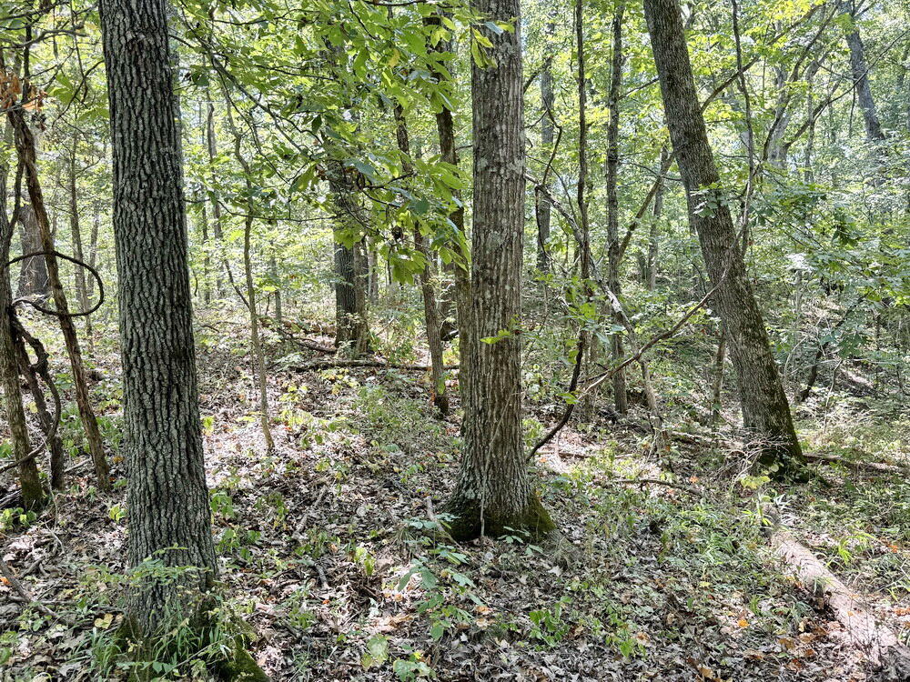 000 Southeast 500 Road Property Photo 14
