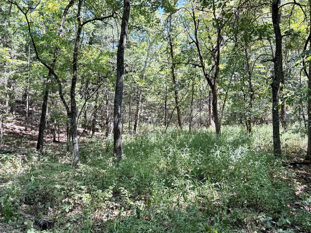 000 Southeast 500 Road Property Photo 15