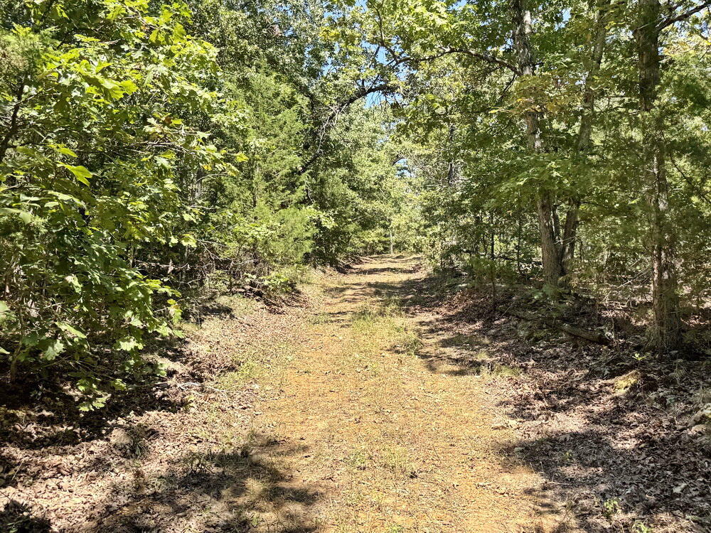 000 Southeast 500 Road Property Photo 16