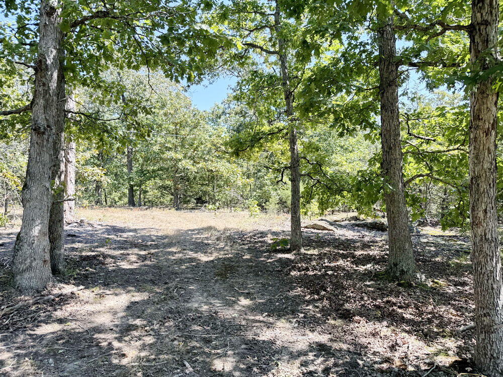 000 Southeast 500 Road Property Photo 18