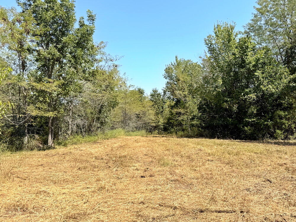 000 Southeast 500 Road Property Photo 24