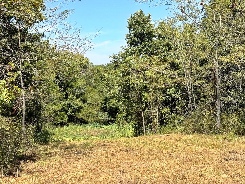 000 Southeast 500 Road Property Photo 25