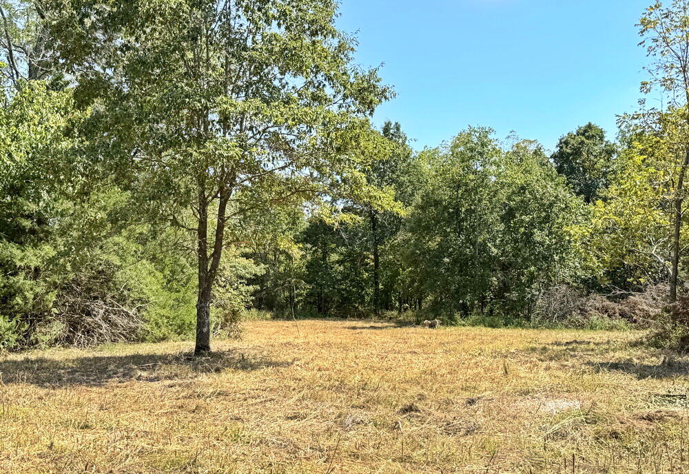 000 Southeast 500 Road Property Photo 26