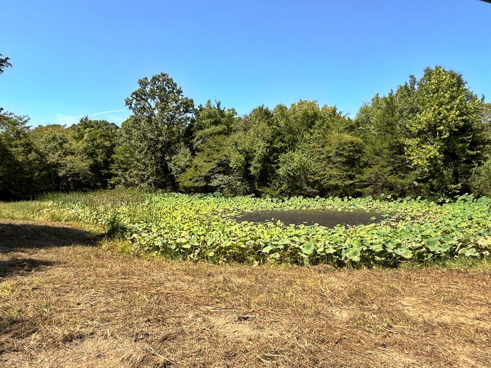 000 Southeast 500 Road Property Photo 29