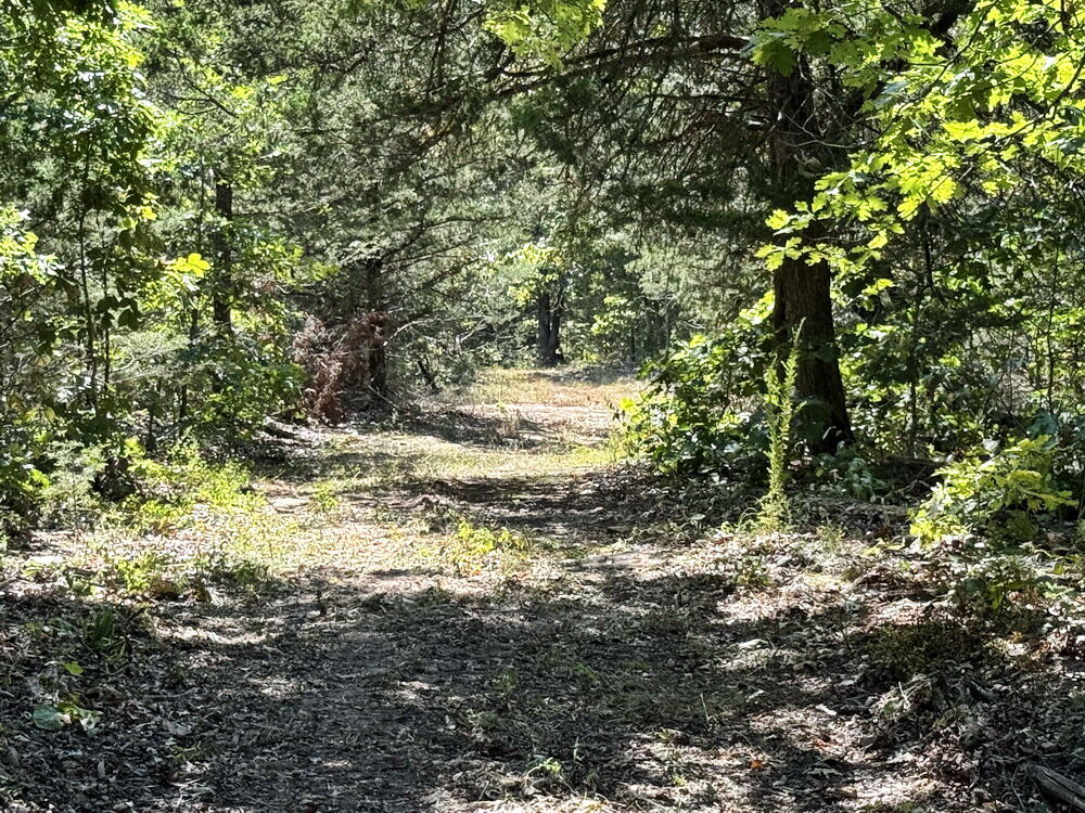 000 Southeast 500 Road Property Photo 30
