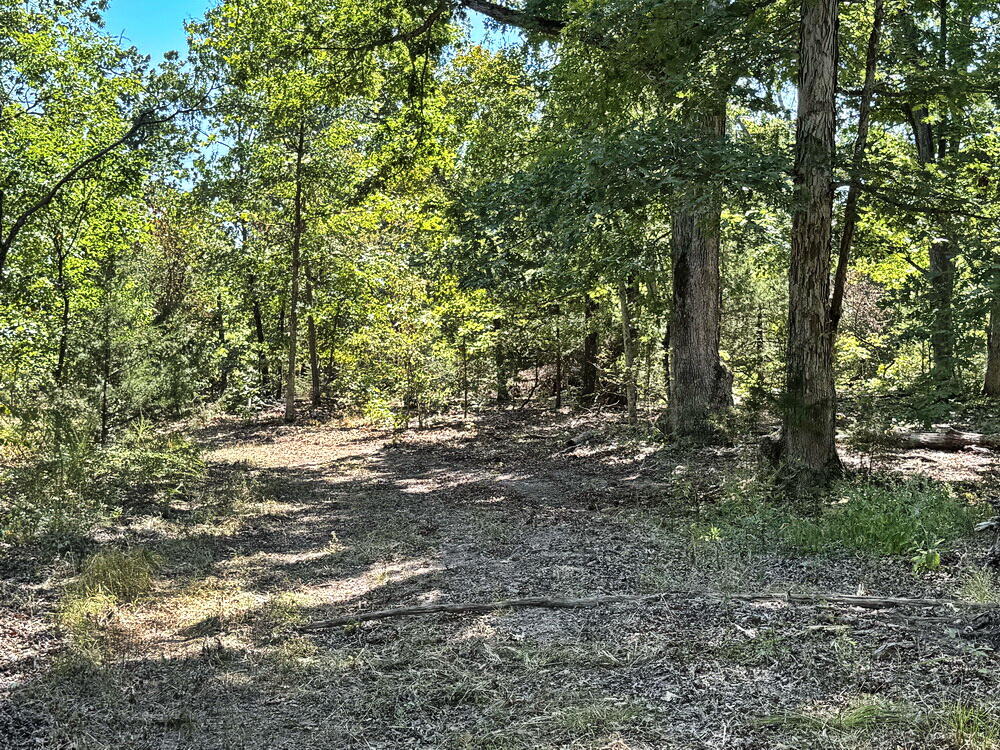 000 Southeast 500 Road Property Photo 31
