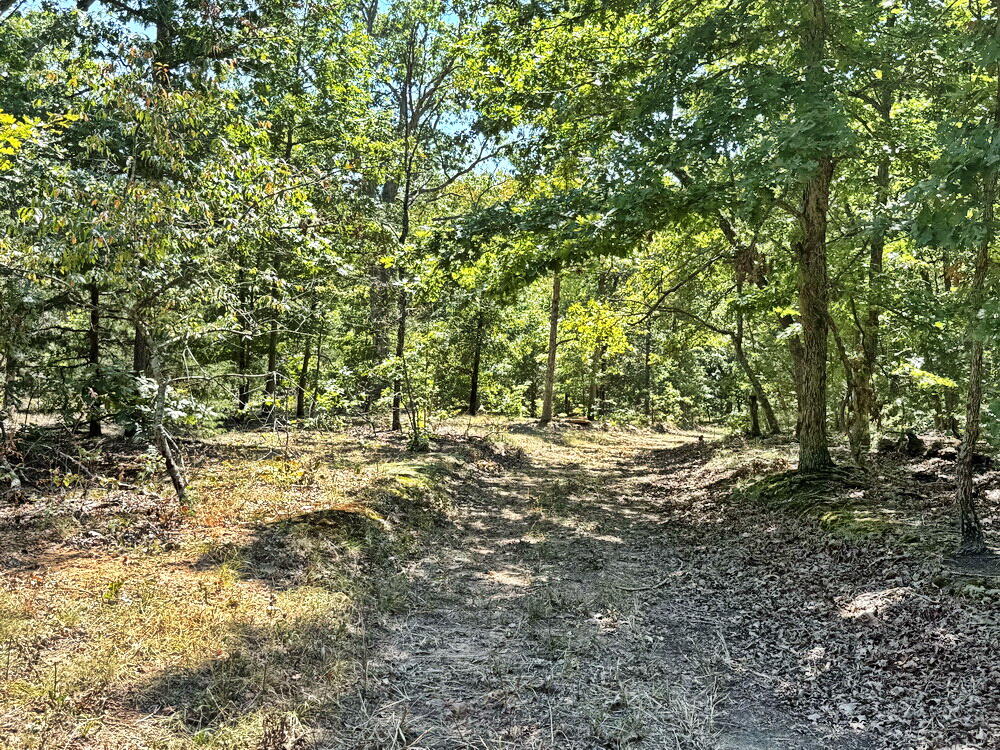 000 Southeast 500 Road Property Photo 33