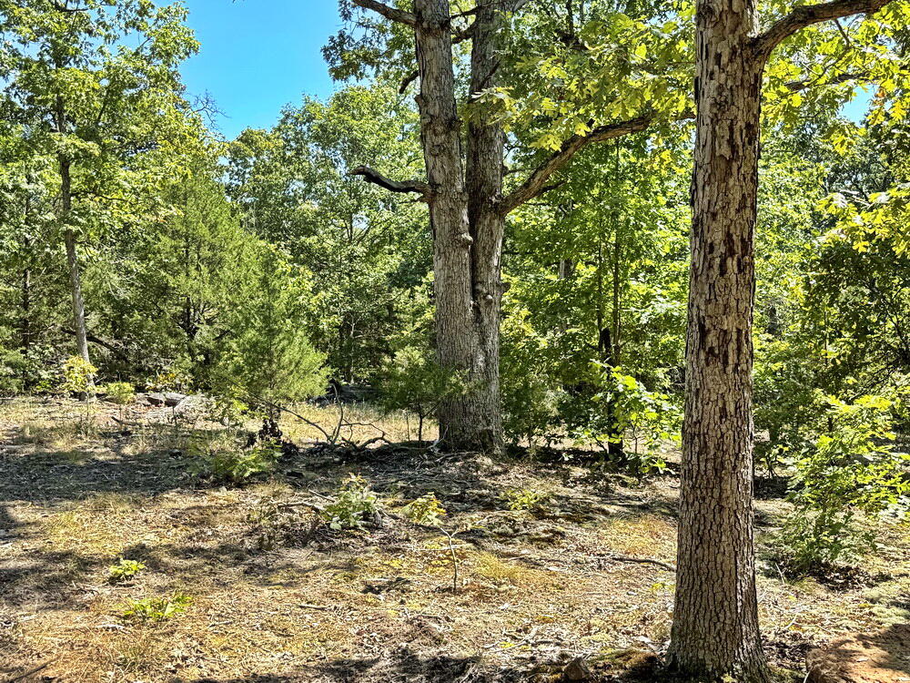 000 Southeast 500 Road Property Photo 34