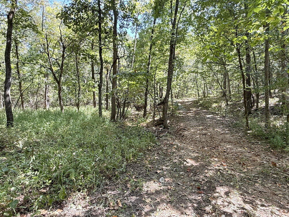000 Southeast 500 Road Property Photo 35