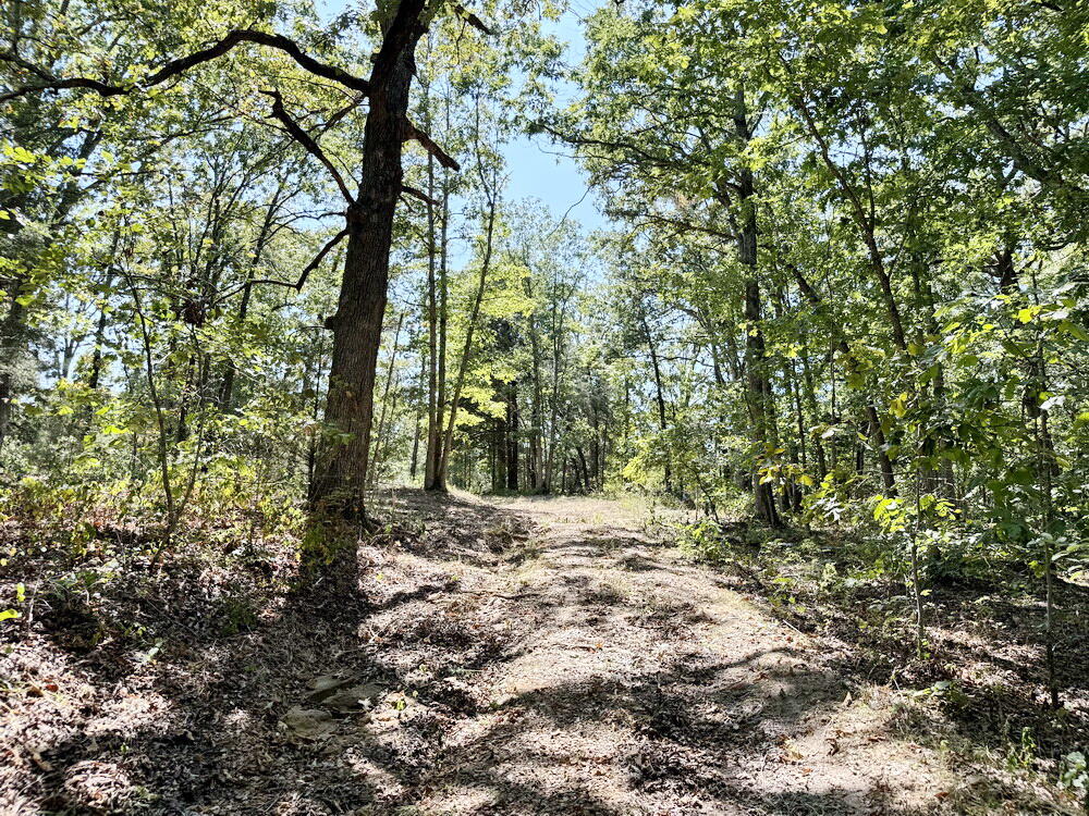 000 Southeast 500 Road Property Photo 36