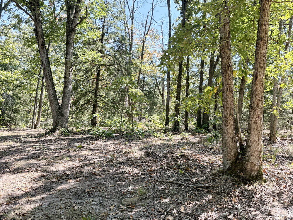 000 Southeast 500 Road Property Photo 37