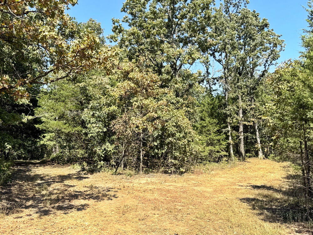 000 Southeast 500 Road Property Photo 38