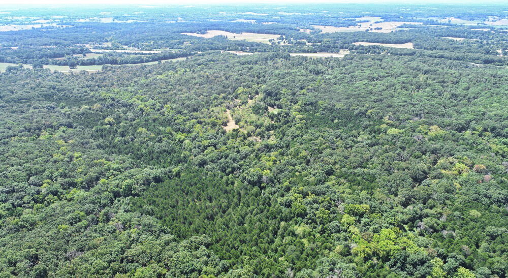000 Southeast 500 Road Property Photo 43
